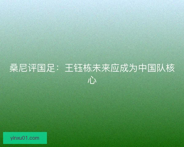 桑尼评国足:王钰栋未来应成为中国队核心 桑尼评国足:王钰栋未来应成为中国队核心